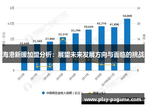 海港新援加盟分析：展望未来发展方向与面临的挑战
