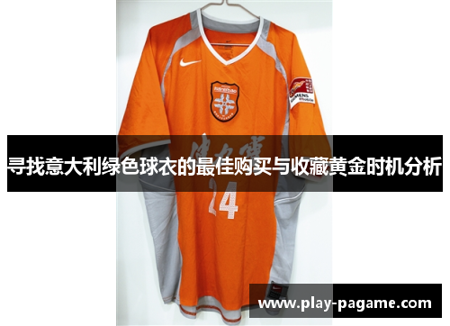 寻找意大利绿色球衣的最佳购买与收藏黄金时机分析