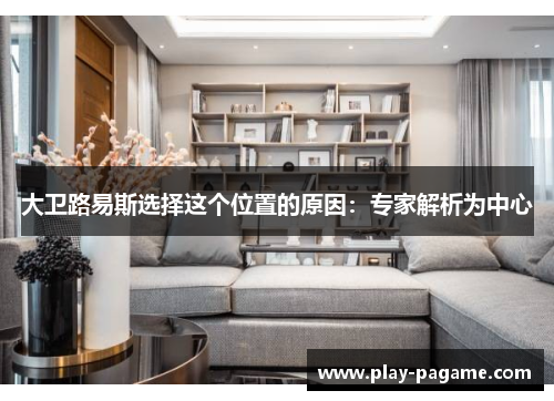 大卫路易斯选择这个位置的原因：专家解析为中心