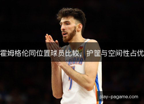 霍姆格伦同位置球员比较,护筐与空间性占优 霍姆格伦同位置球员比较,护筐与空间性占优